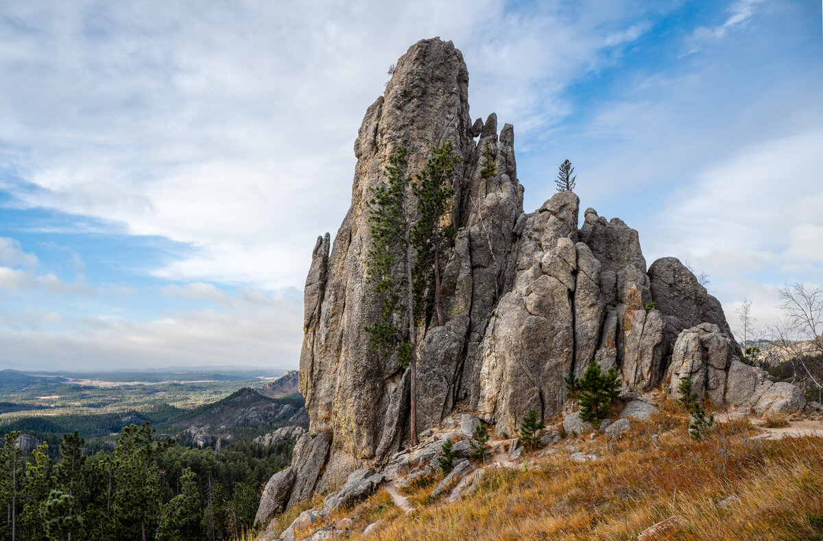 _DSC3602-Edit.jpg