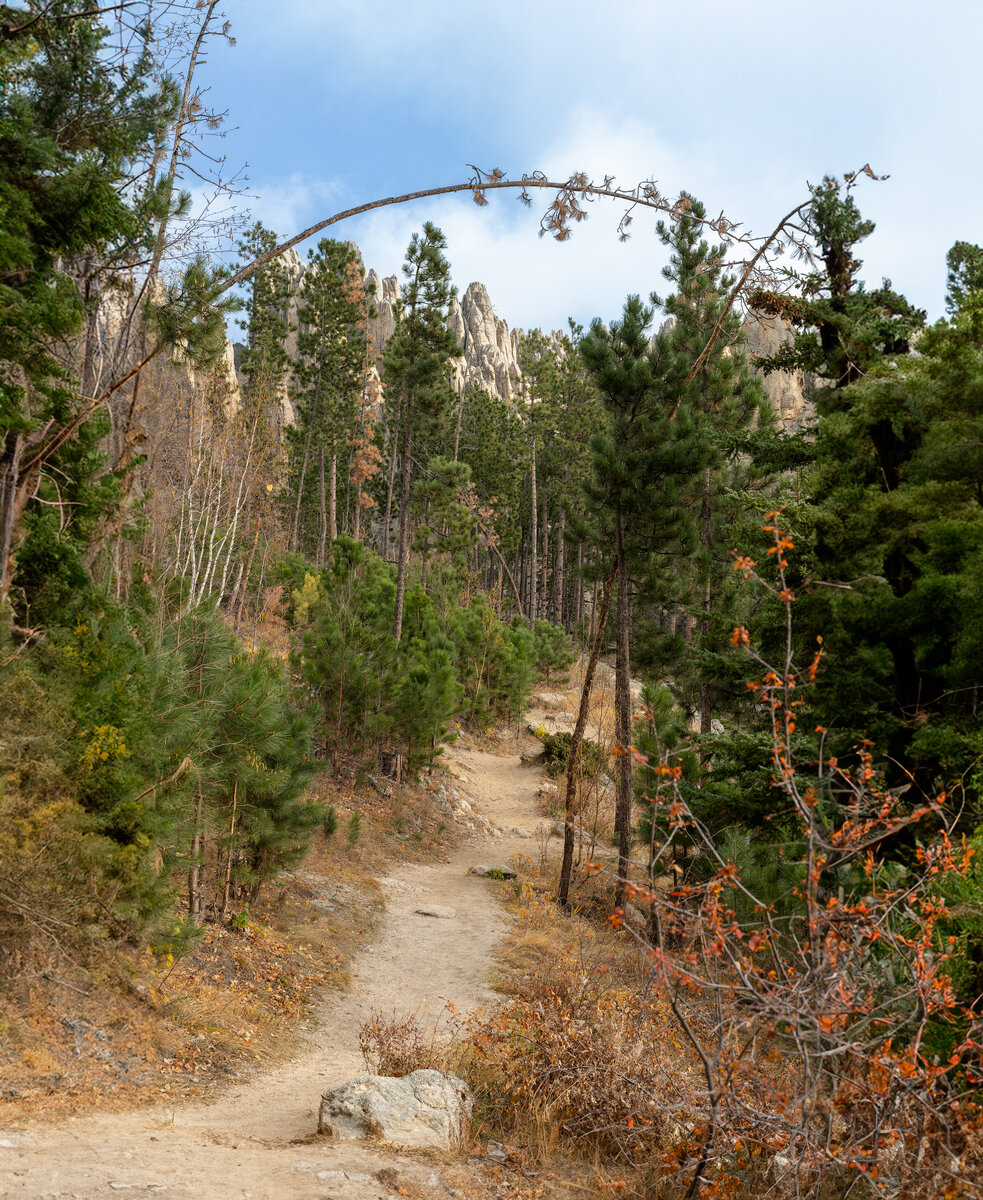 _DSC3661-NEF_DxO_DeepPRIMEXD-Pano-Edit.jpg