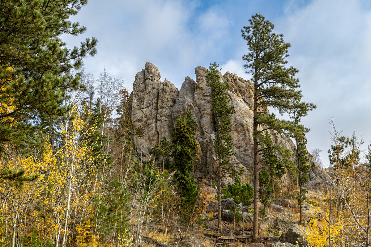 _DSC3716-NEF_DxO_DeepPRIMEXD-Pano-Edit.jpg