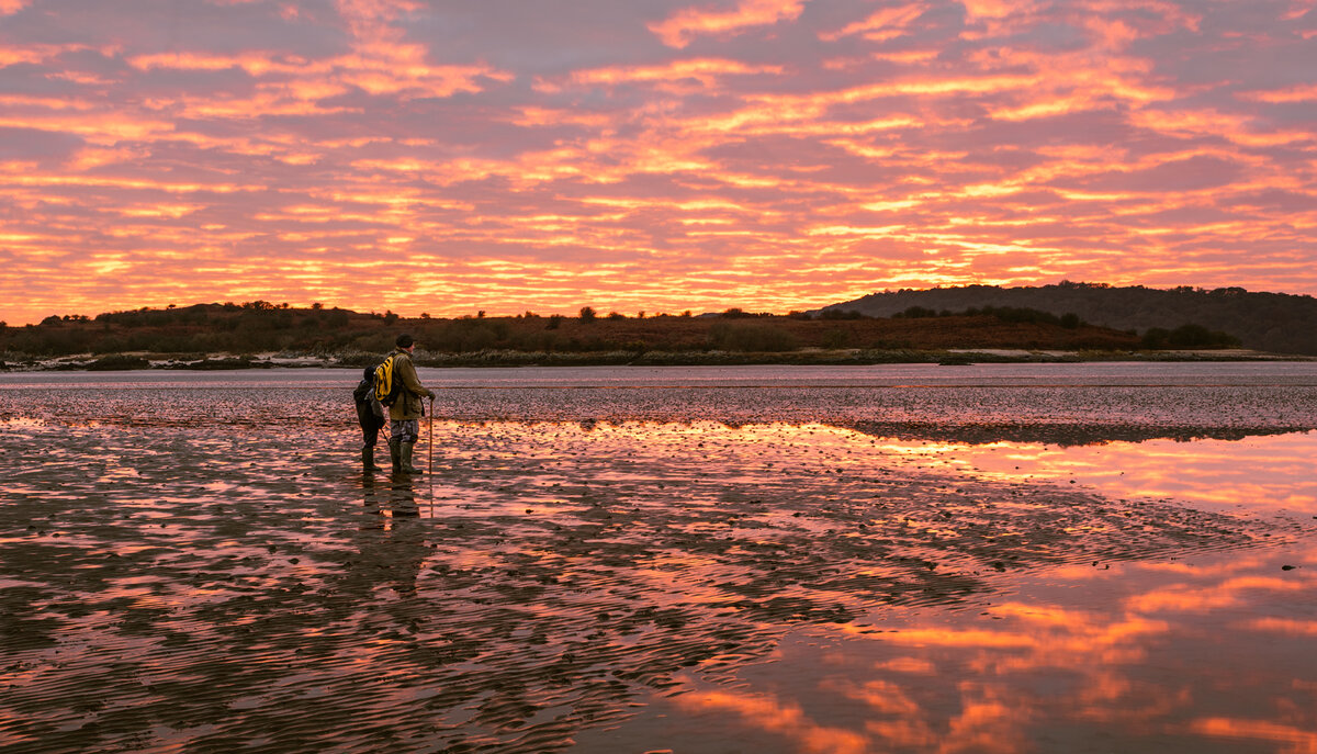 _DSC3730-Edit copy.jpg