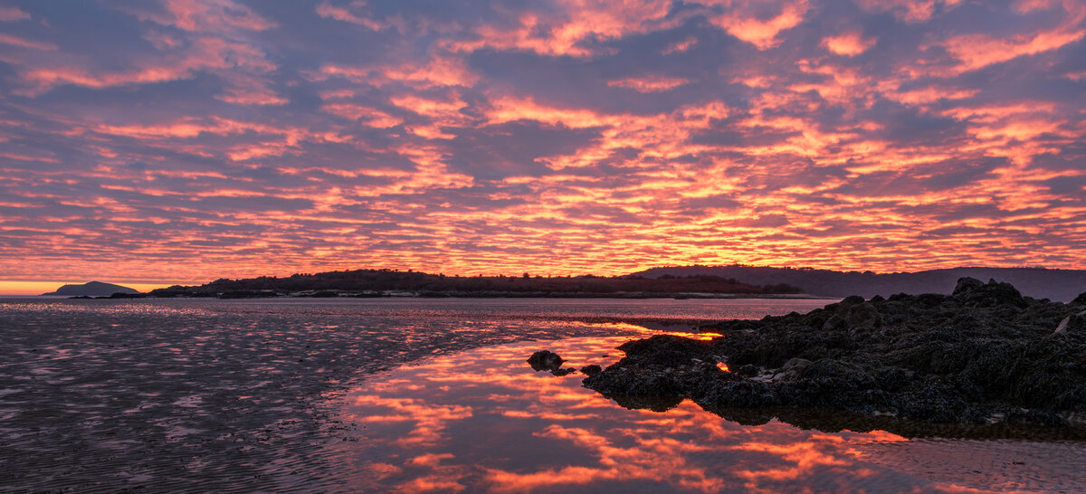 _DSC3737 from laptop copy.jpg