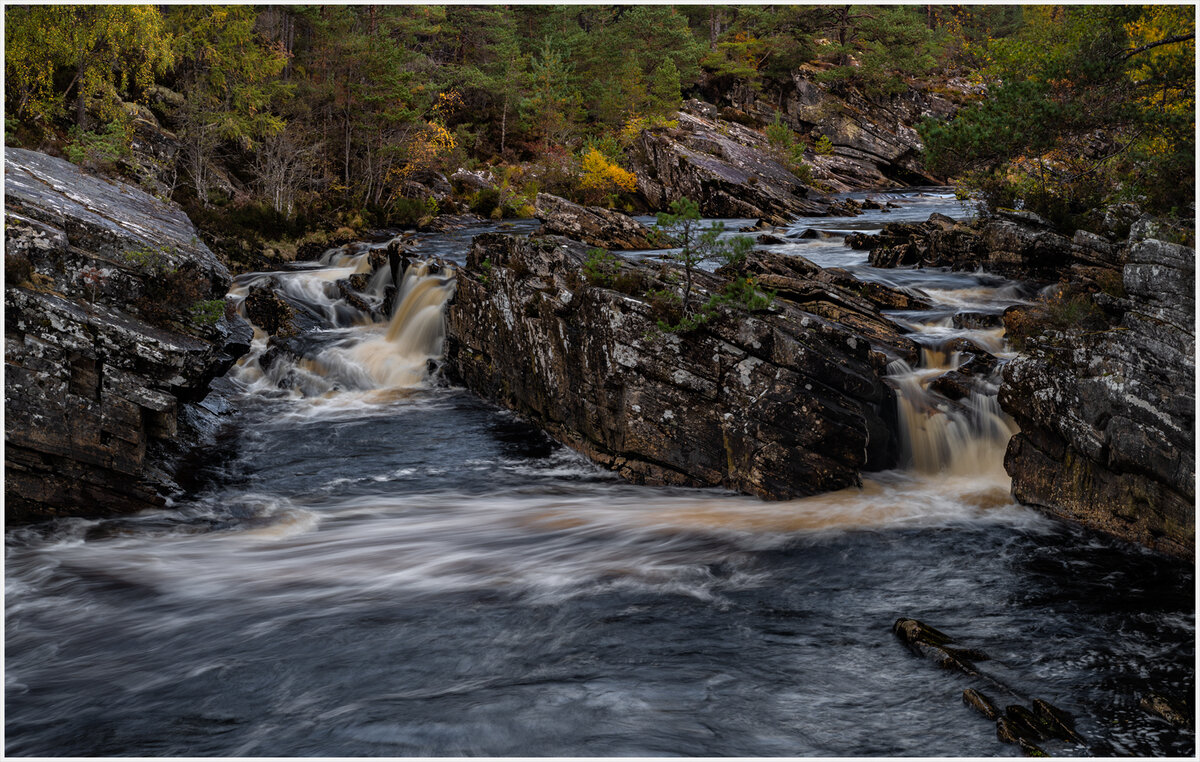 _DSC3756-1 copy.jpg