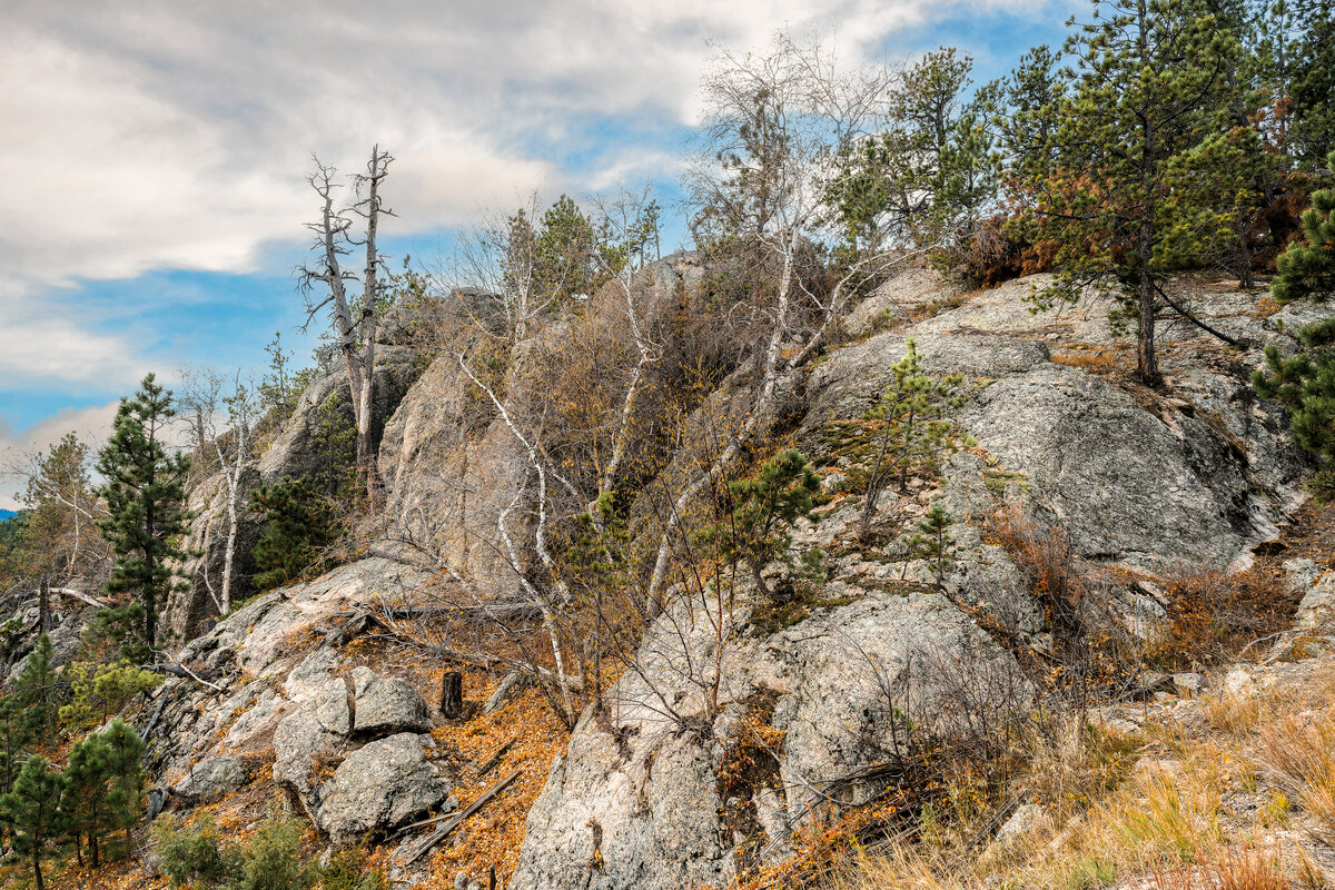 _DSC3759-NEF_DxO_DeepPRIMEXD-Edit.jpg