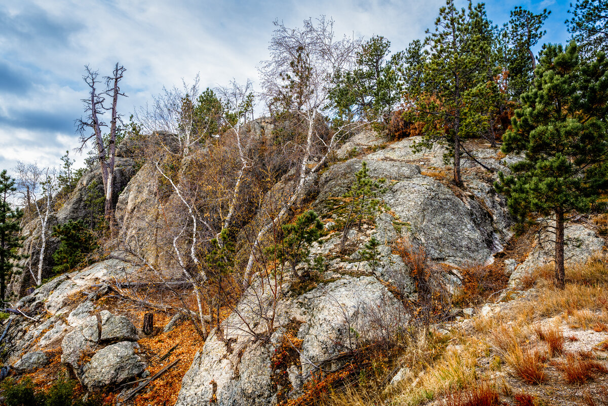 _DSC3759-Pano-2-Edit.jpg