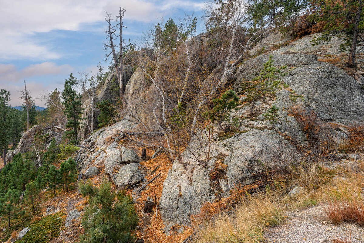 _DSC3772-NEF_DxO_DeepPRIMEXD-Pano-3-Edit.jpg