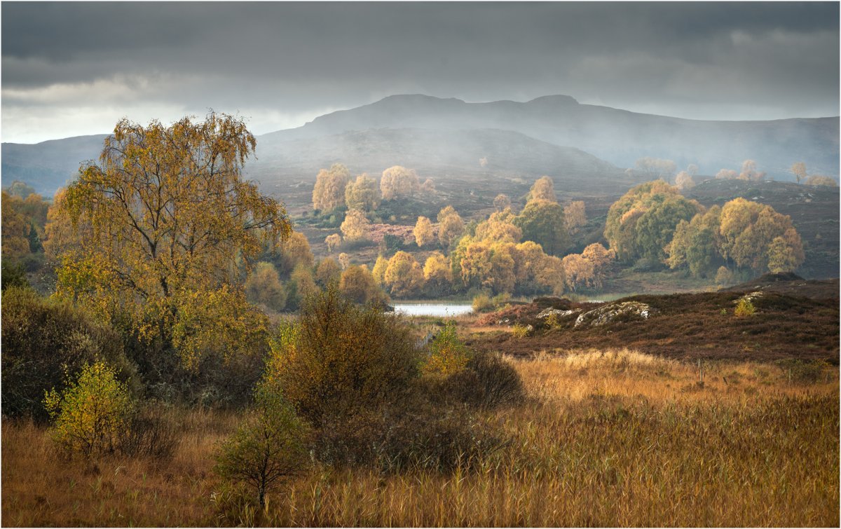 _DSC3797-1 cropped from laptop now on desktop. 1600 white stroke.jpg