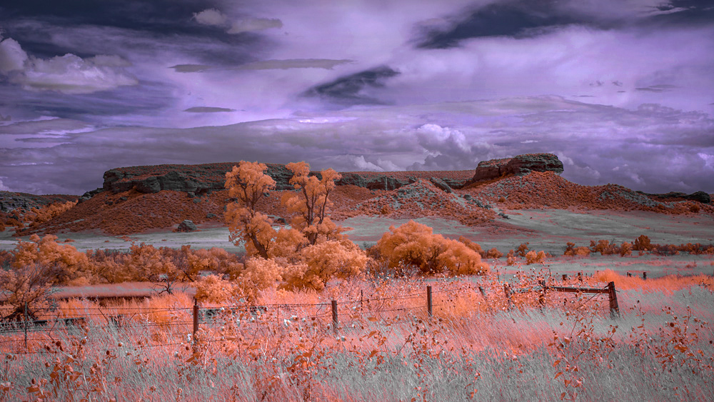 _DSC3812_WBbox_16x9_dw-2.jpg