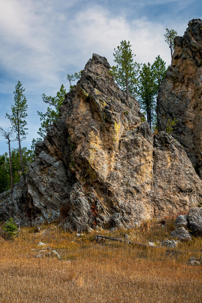 _DSC3860-Edit.jpg