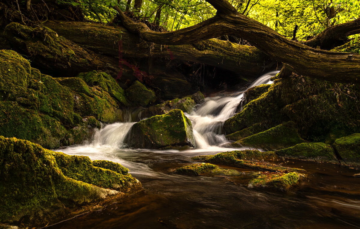 _DSC3916-3 copy.jpg
