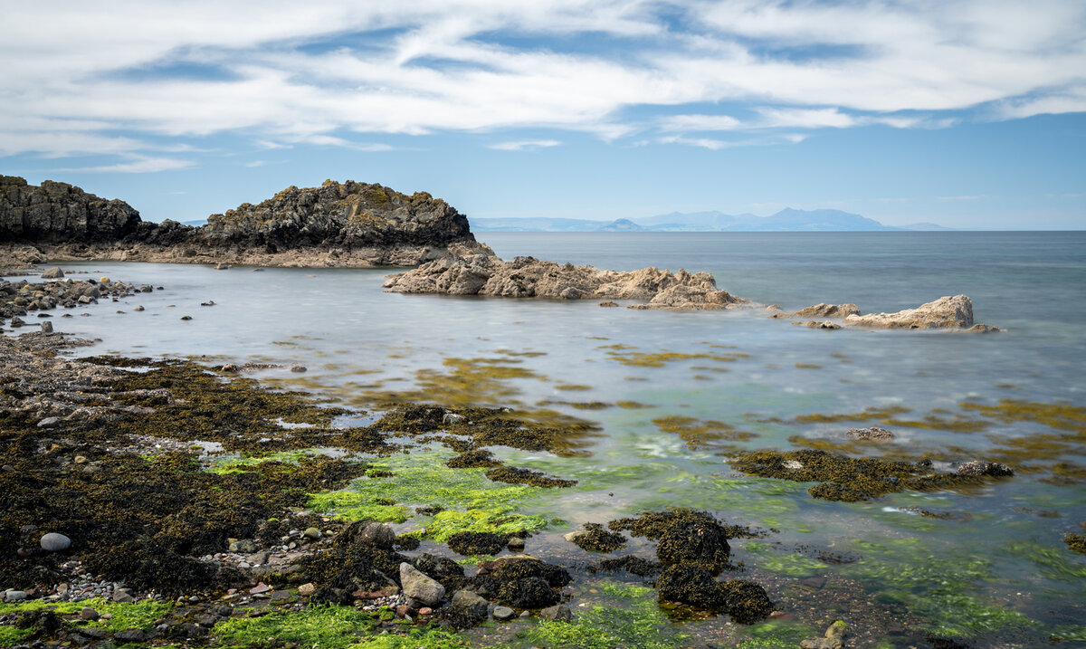 _DSC4098-1 copy.jpg