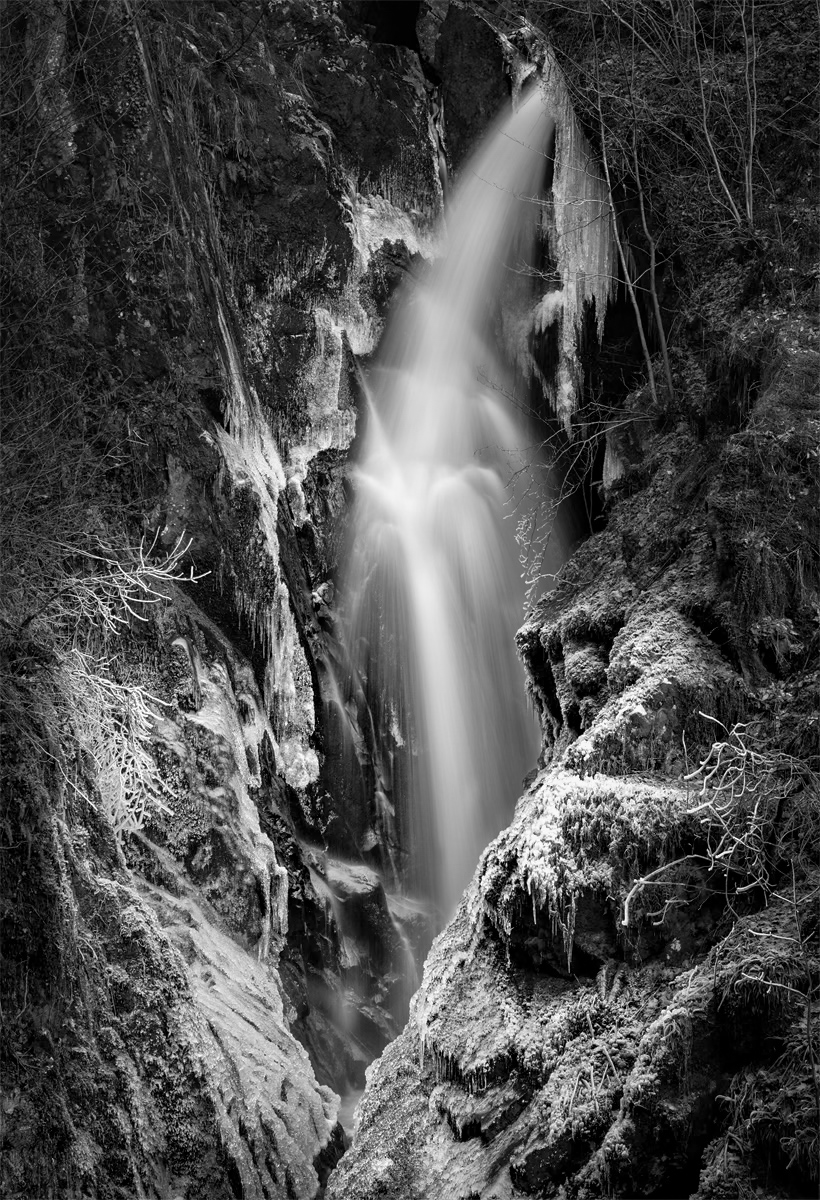 _DSC4106-1 mono copy (5).jpg