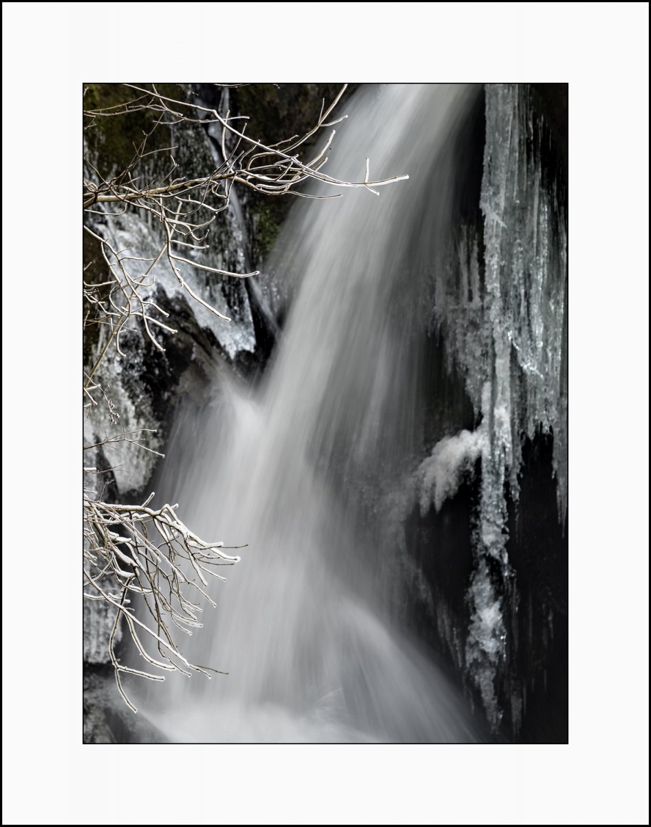 _DSC4171-1.jpg