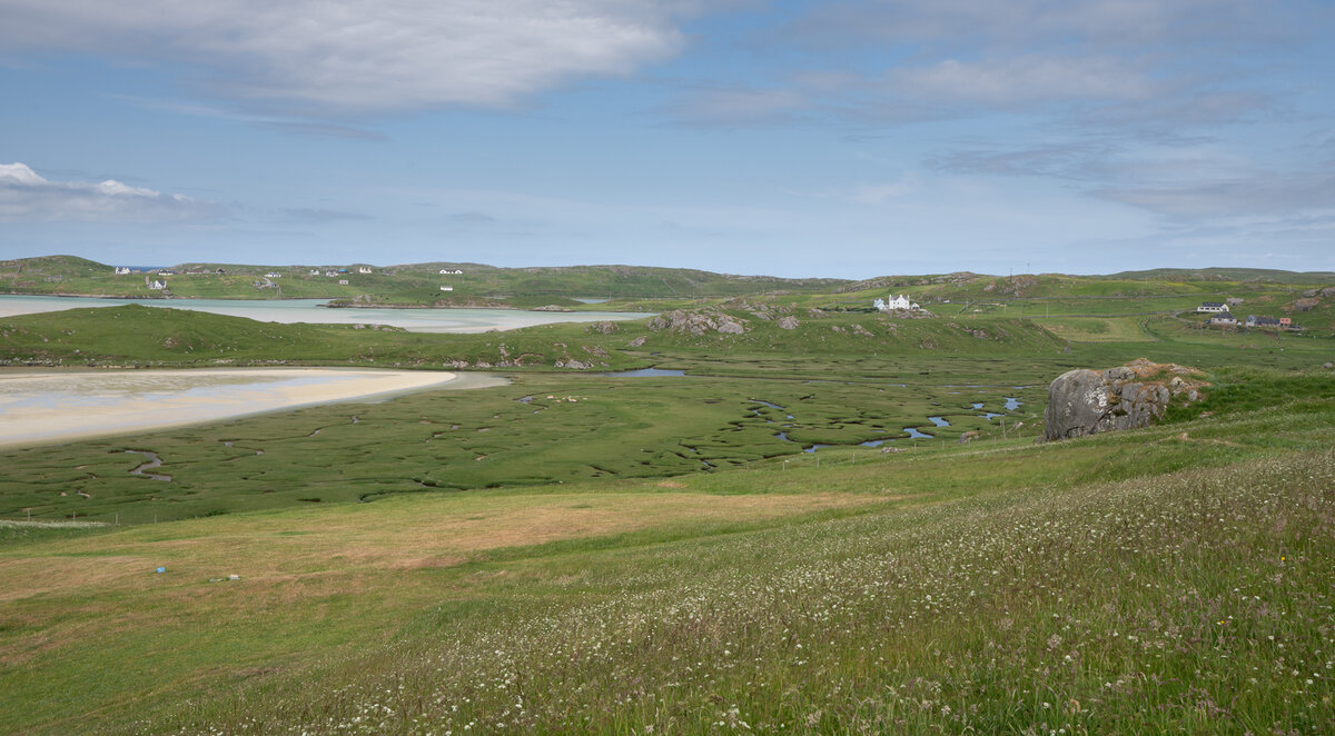 _DSC4297-1 copy.jpg