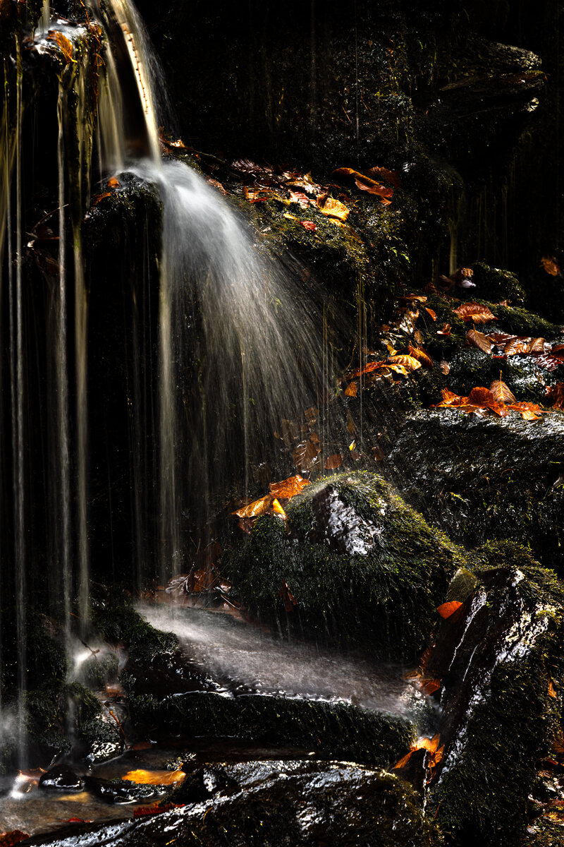 _DSC4377-3 copy.jpg