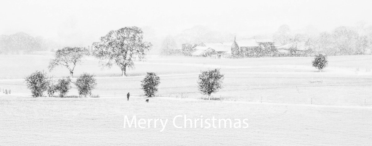 _DSC4431-2 left hand tree copy 3.jpg