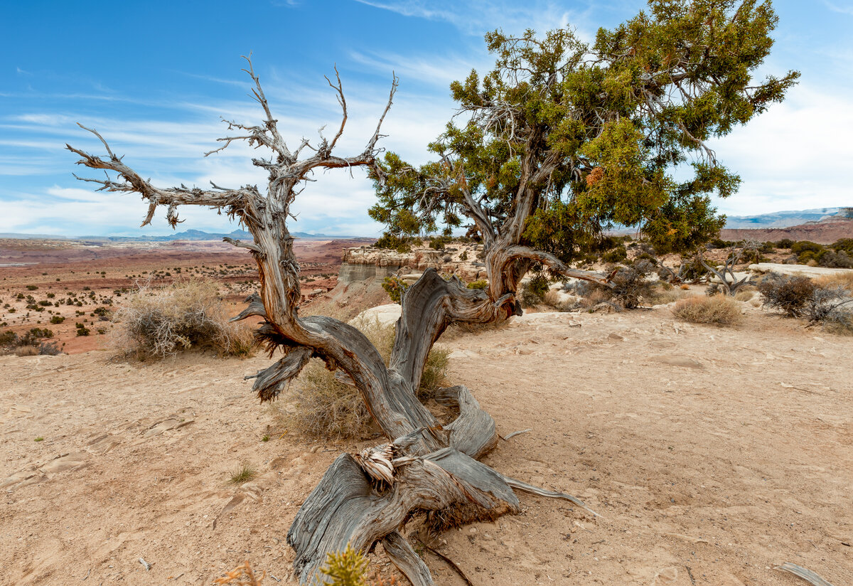 _DSC4467-Pano-Edit.jpg