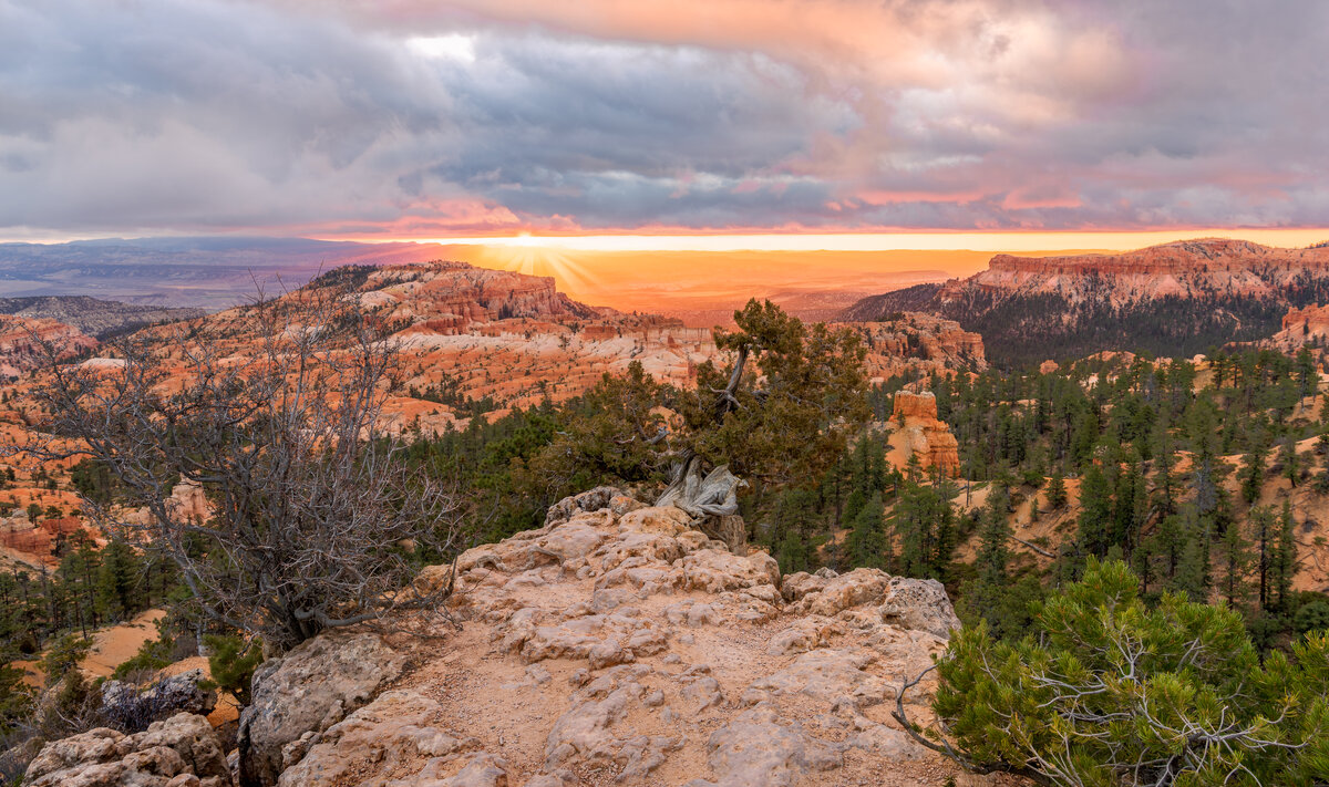 _DSC4519-HDR-Edit-Edit.jpg