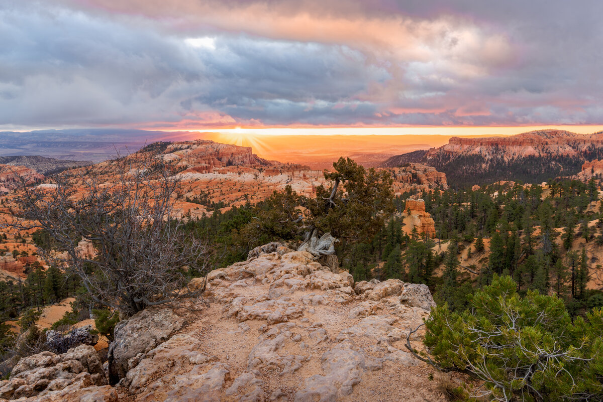 _DSC4519-HDR-Edit.jpg