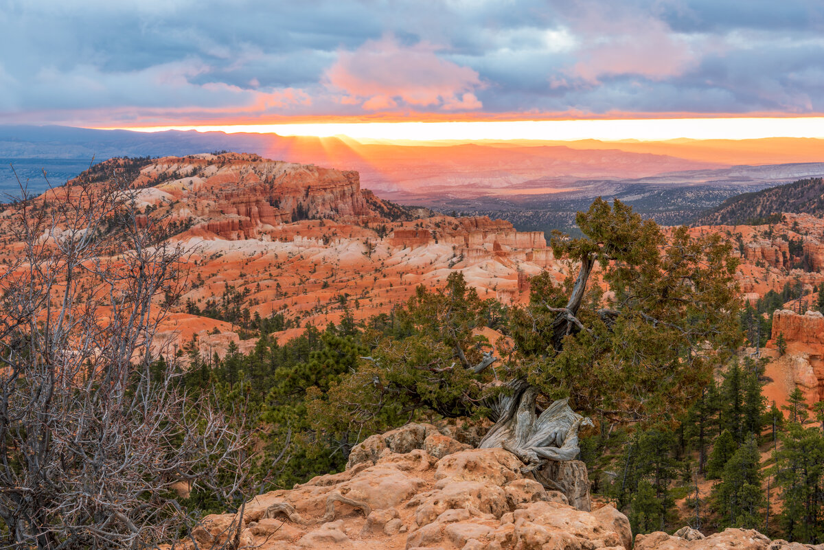 _DSC4528-HDR-Edit.jpg