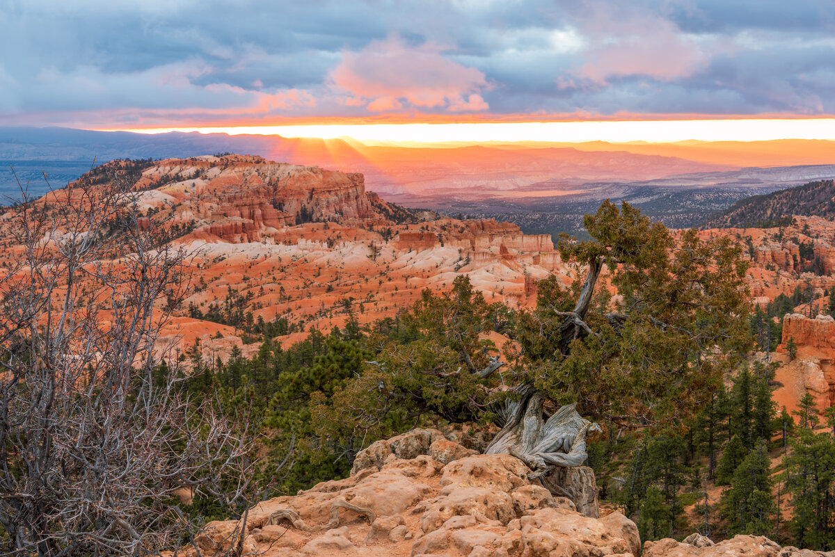 _DSC4528-HDR-Edit.jpg