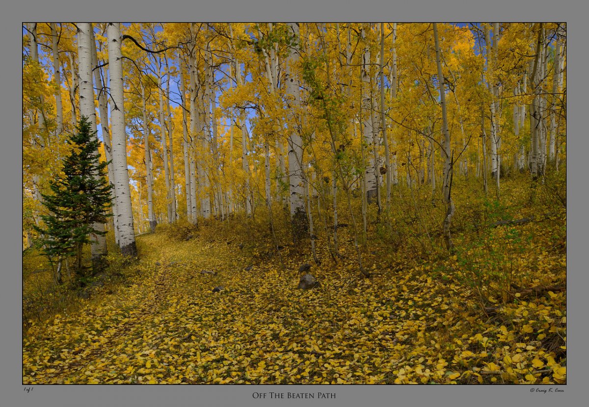 _DSC4537-X2.jpg