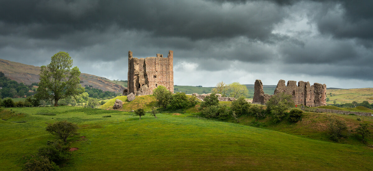 _DSC4546-1 cropped copy.jpg