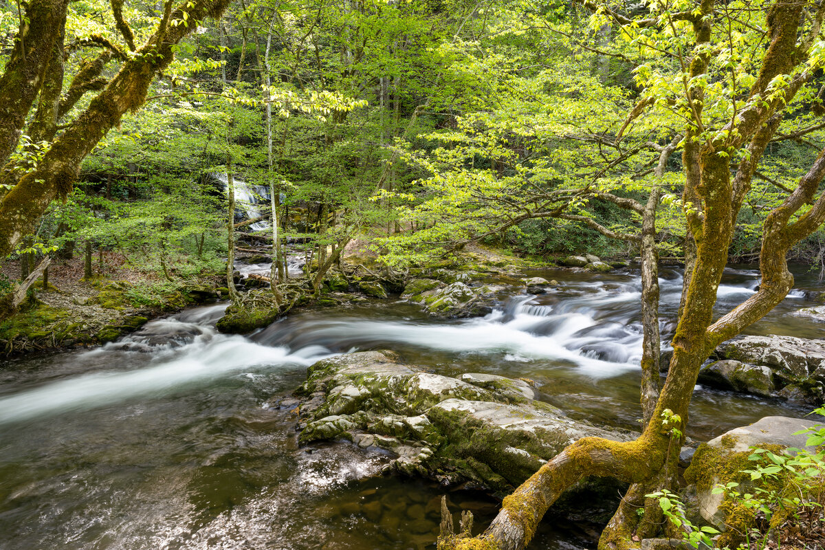 _DSC4594-NEF_DxO_DeepPRIMEXD-Edit.jpg