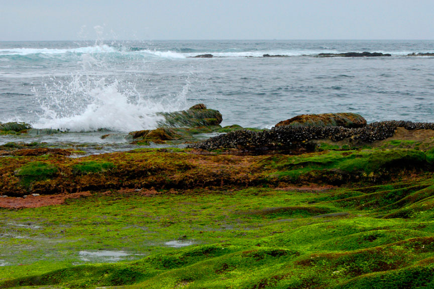 _DSC4598_dsweb.jpg