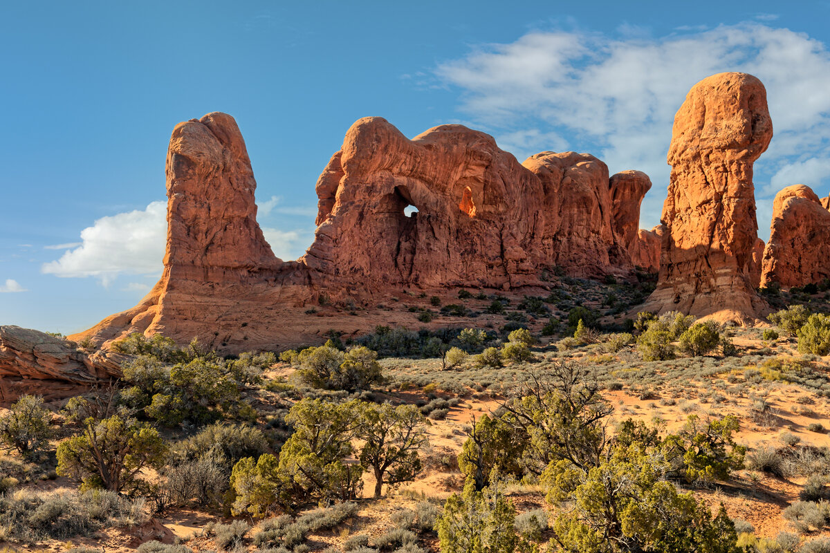 _DSC4598_DxO-Edit.jpg