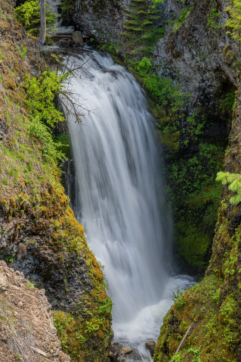 _DSC4645.jpg