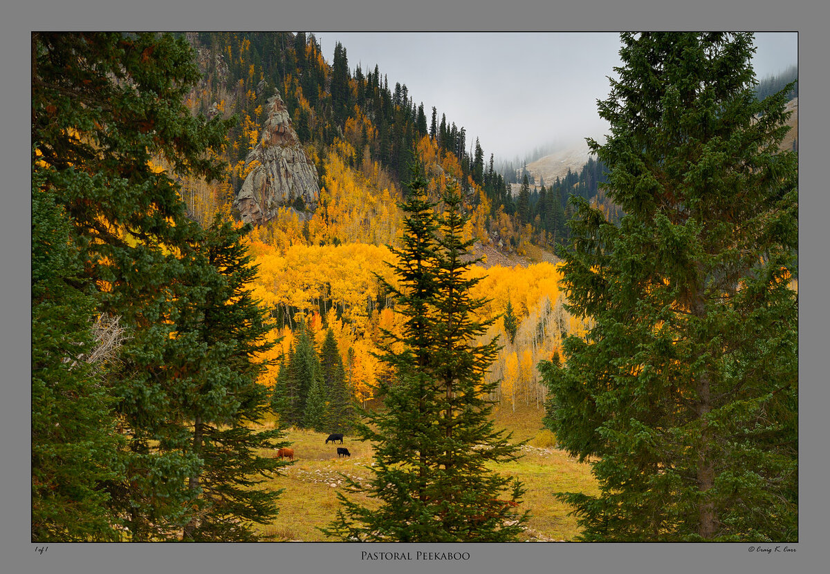 _DSC4666-X2.jpg