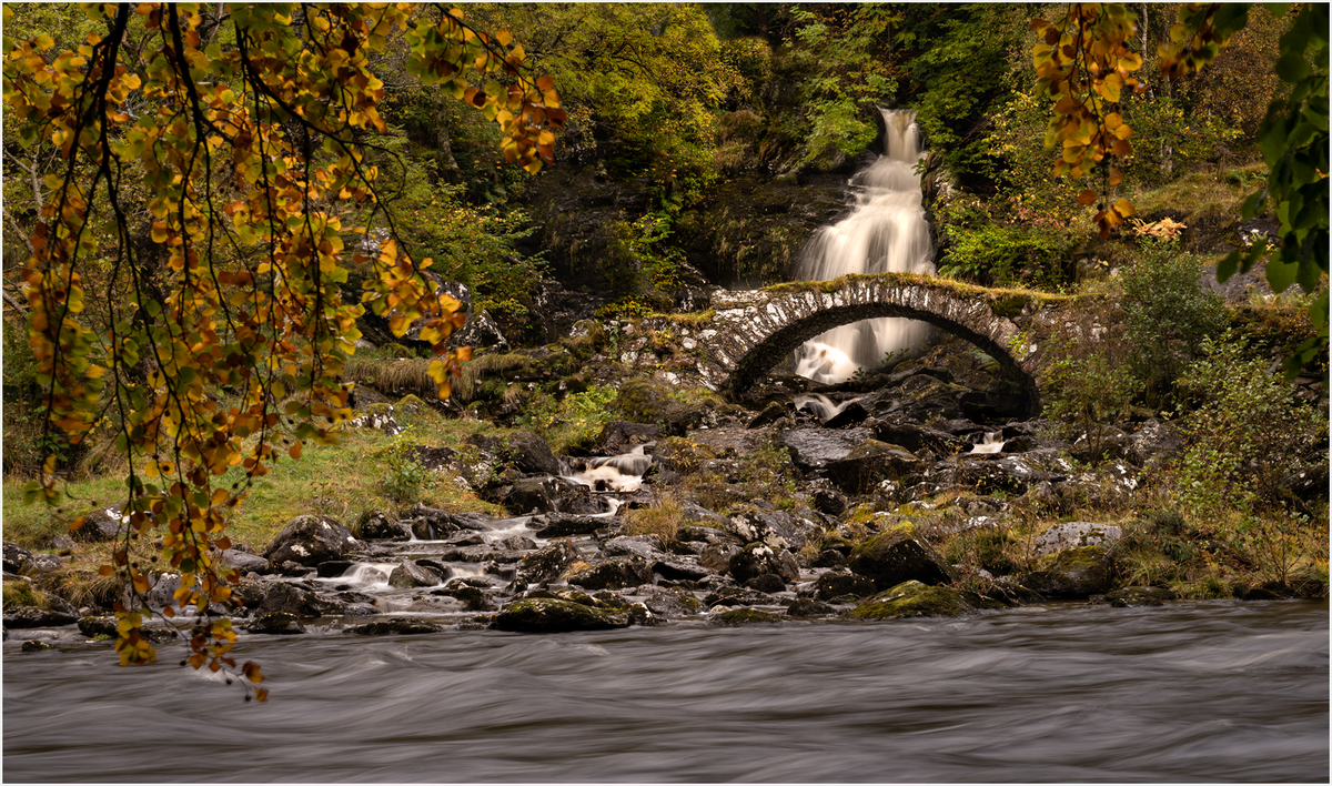 _DSC4734-1 4747 merge copy.png