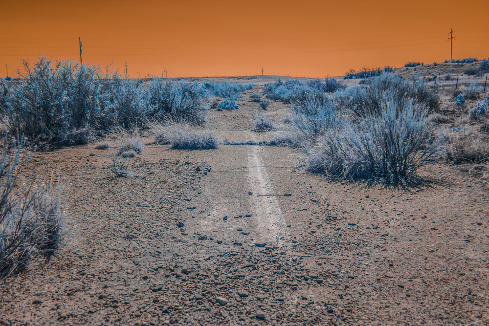 _DSC4781_WBbox_dw.jpg