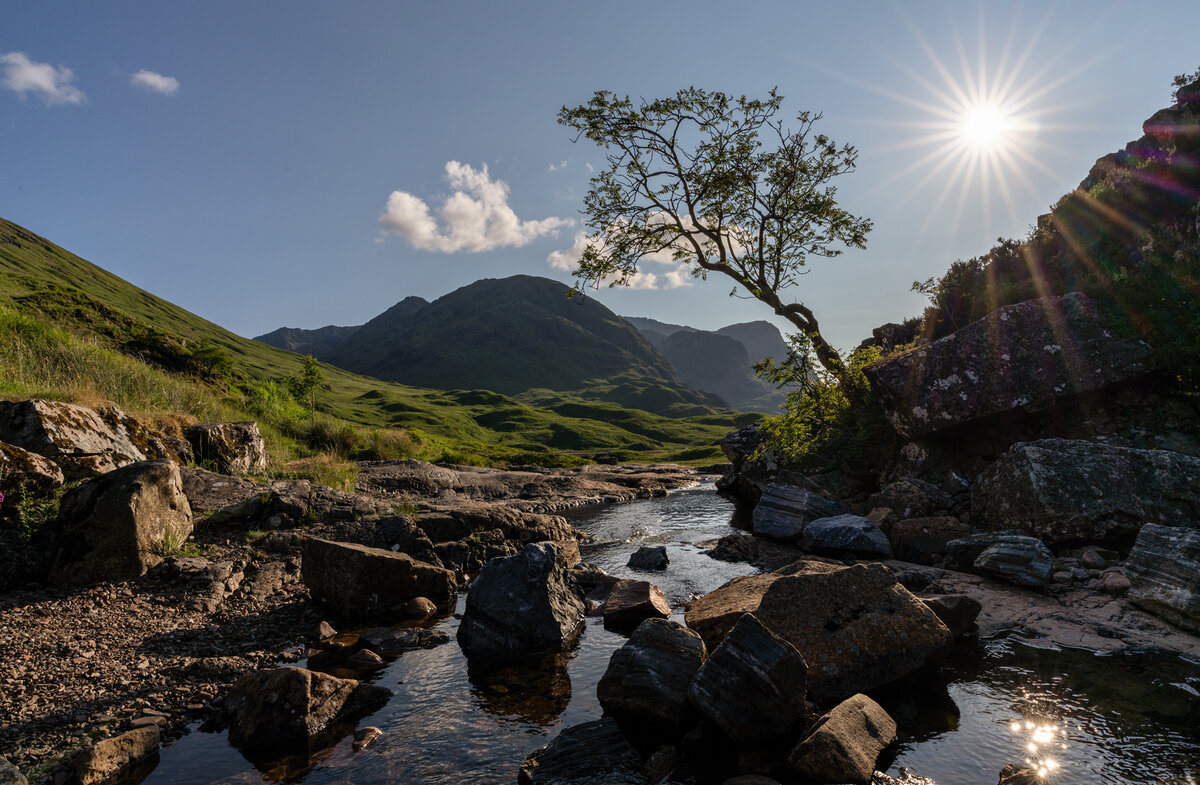 _DSC4862-1 4864 merge copy.jpg