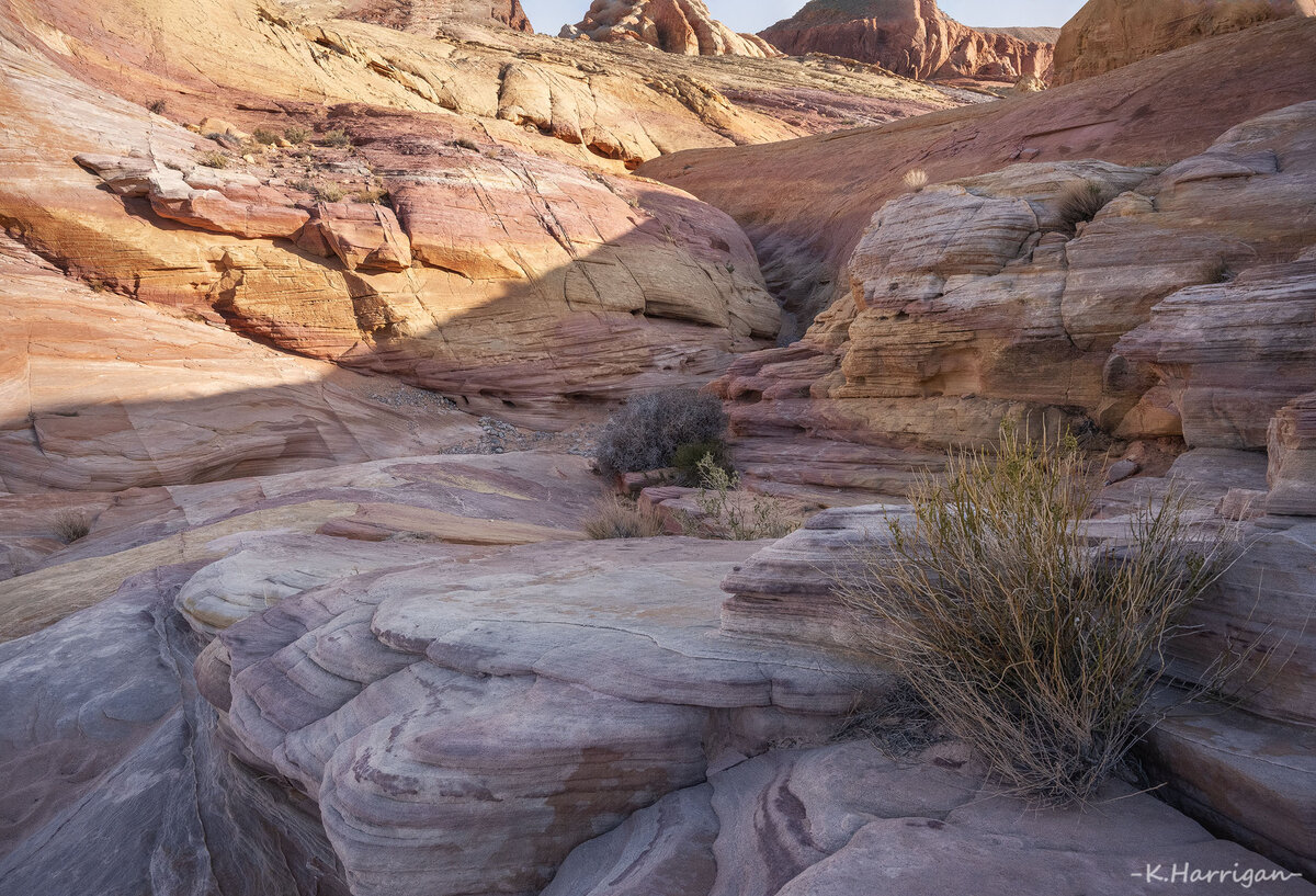 _DSC4868 copy.jpg