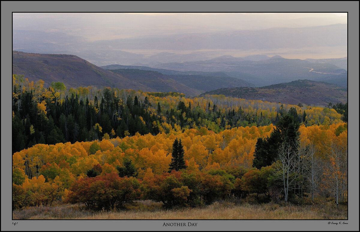 _DSC4912-X2.jpg
