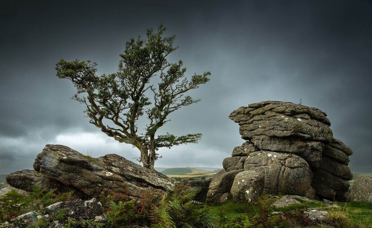 _DSC4921-2 from laptop copy.jpg