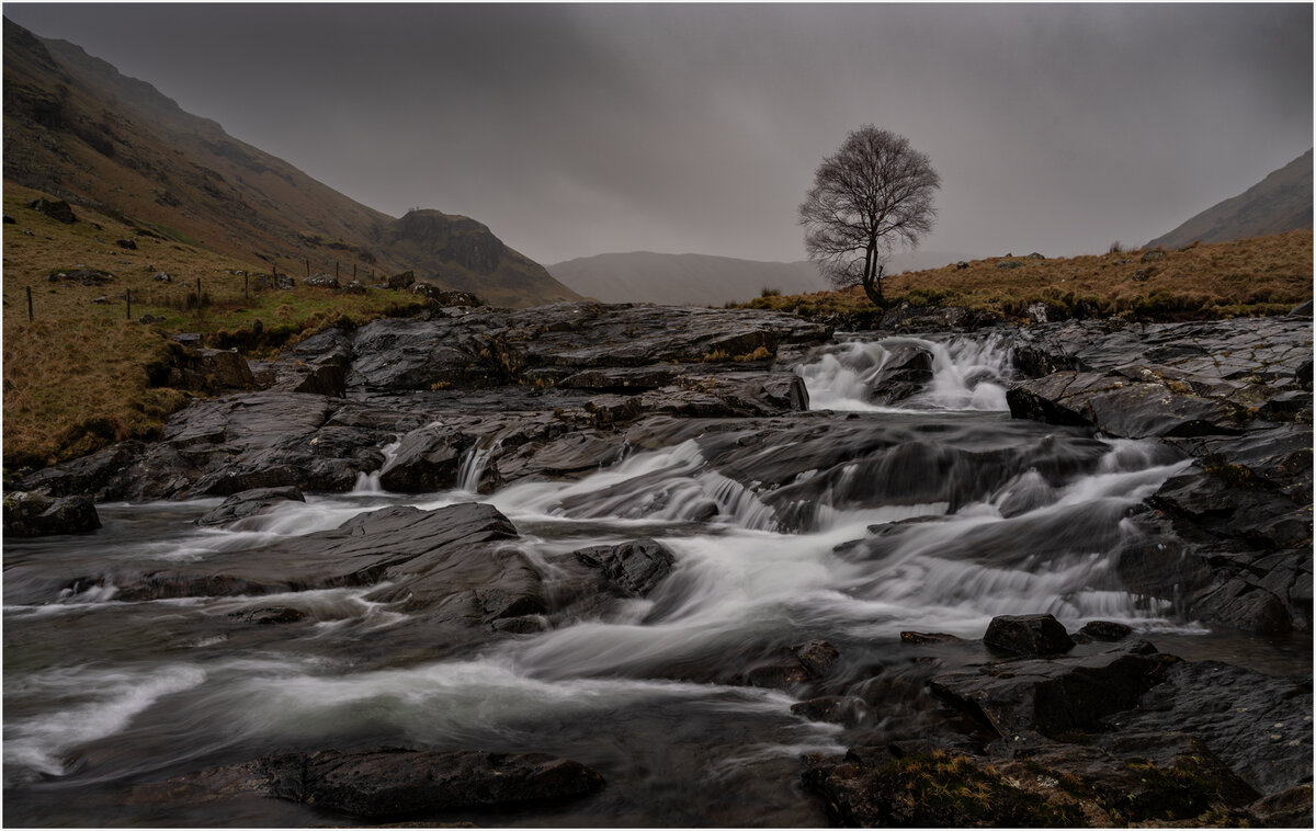 _DSC4946-1 white stroke.jpg