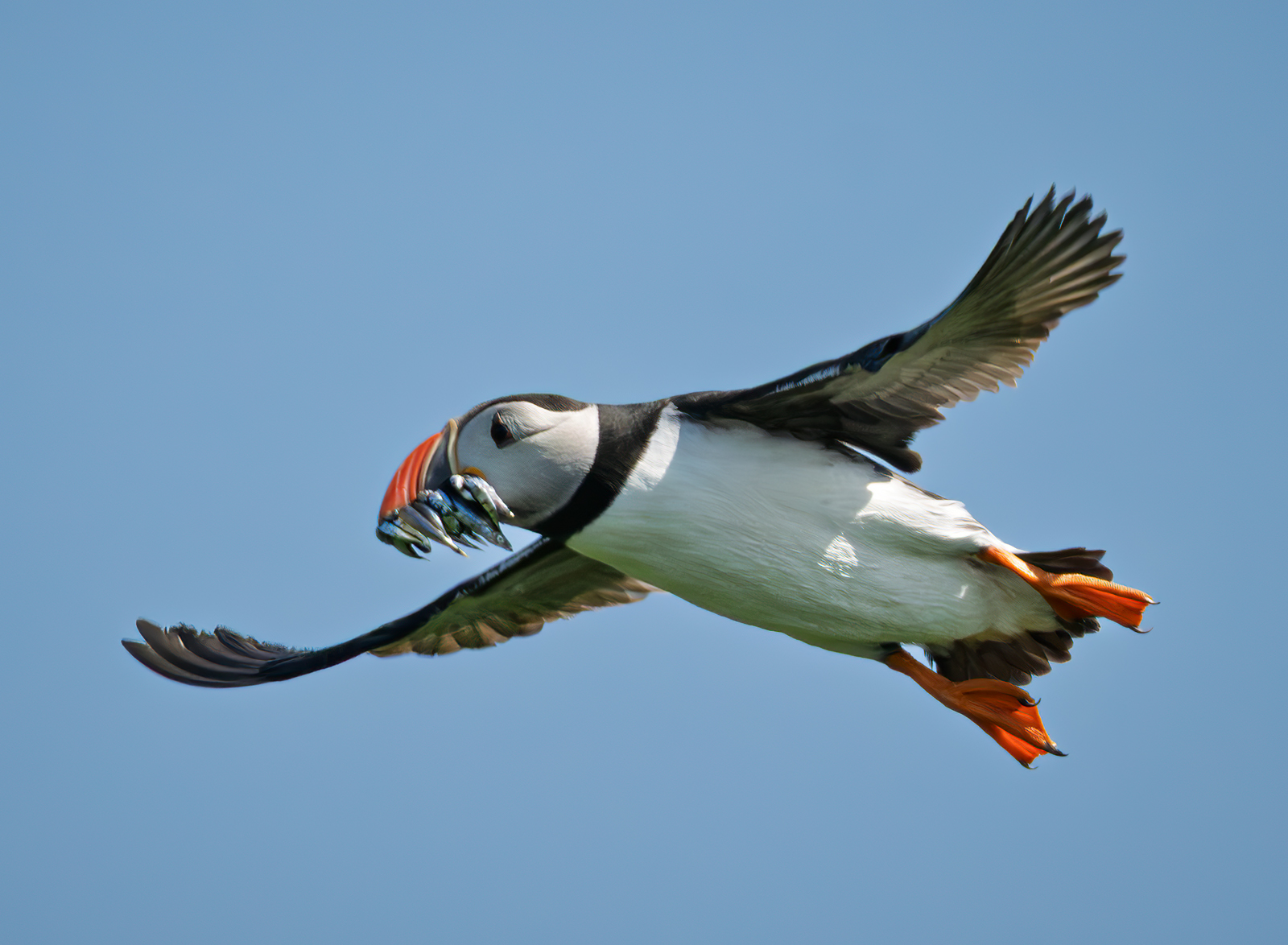 _DSC4963-1 copy.jpg