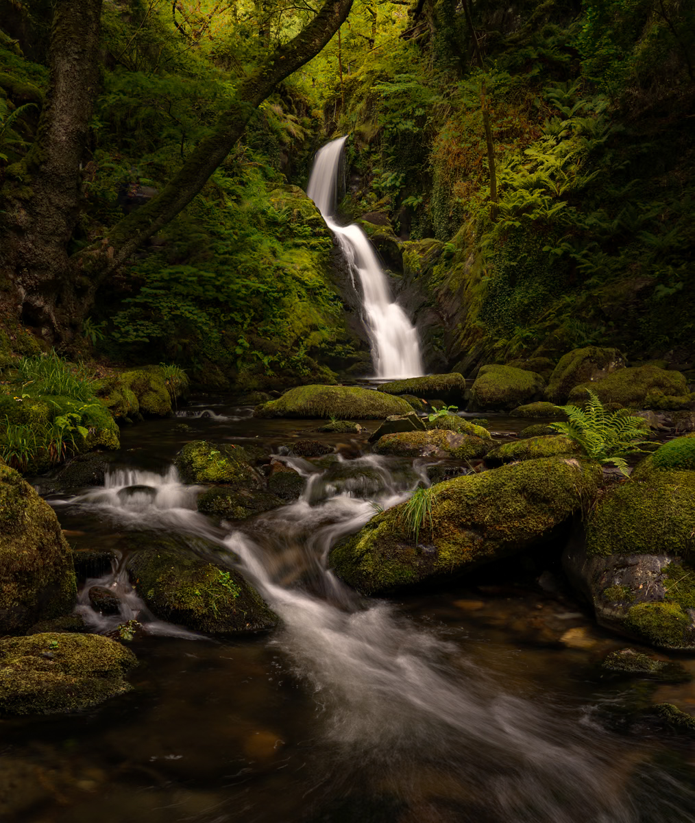 _DSC5065-1 copy (11).jpg