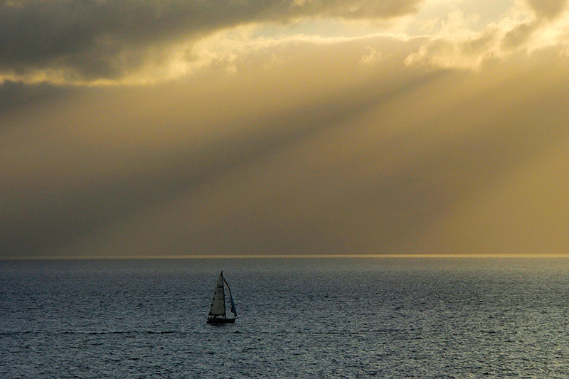 _DSC5093_d1w.jpg