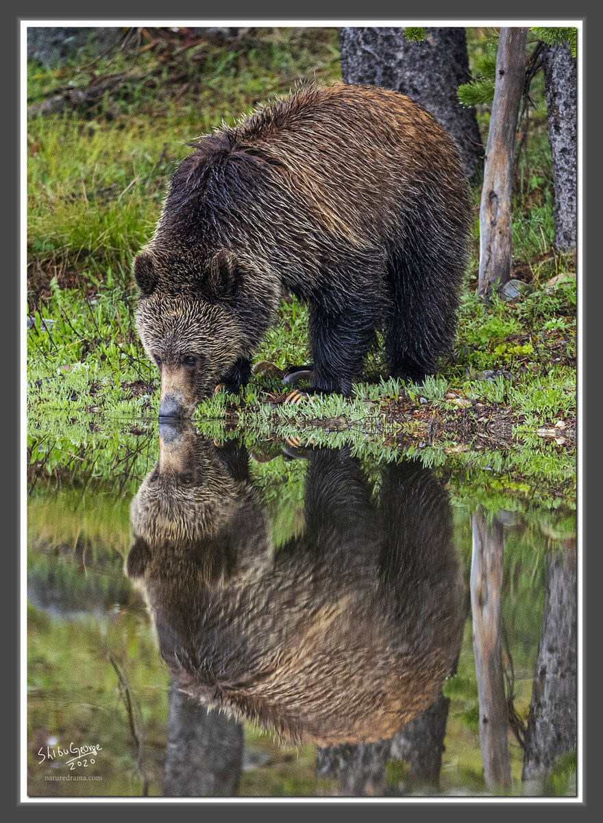 _DSC5177a.jpg