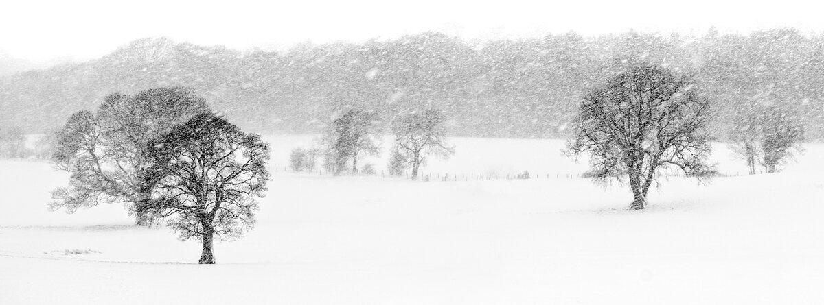 _DSC5180-Pano-1 cropped a lot more fb.jpeg