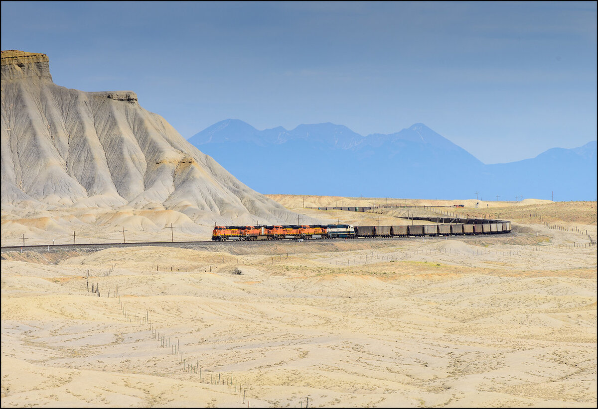 _DSC5308-X2.jpg