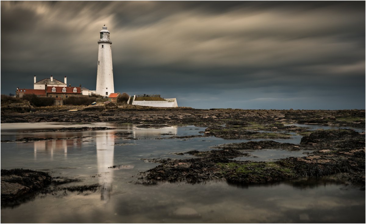 _DSC5416-3 cropped.jpg