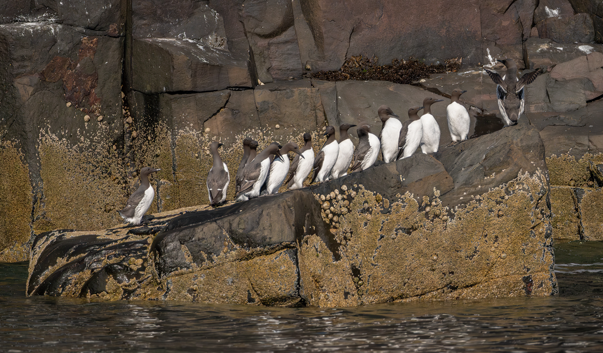 _DSC5479-1 copy.jpg