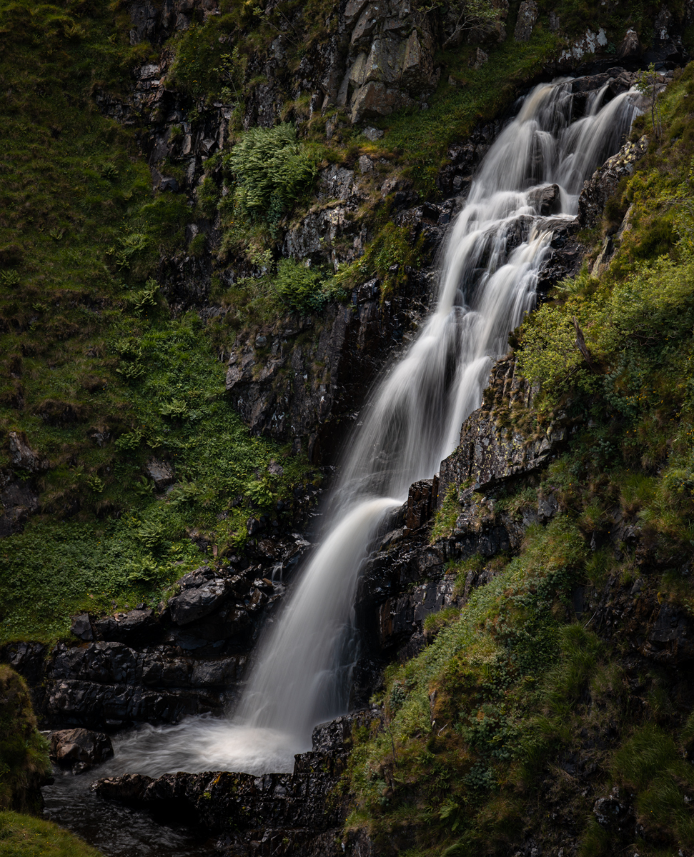 _DSC5533-1 5534 merge copy.jpg