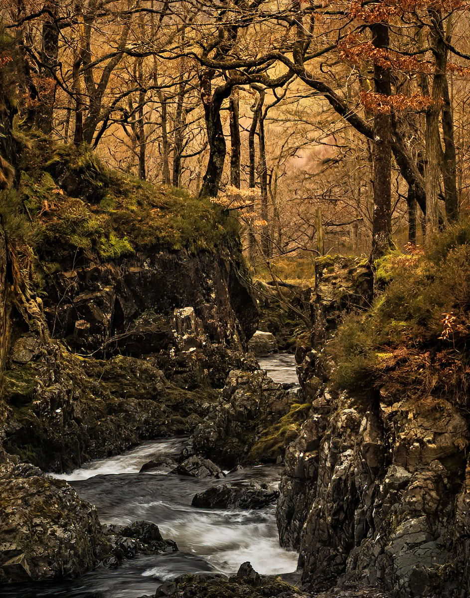_DSC5543-1 severe crop copy.jpg