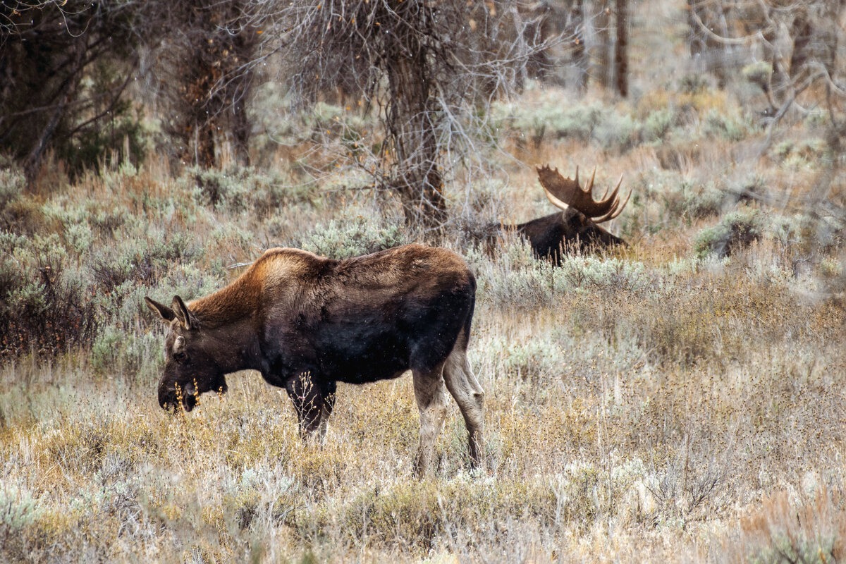 _DSC5608-Edit.jpg