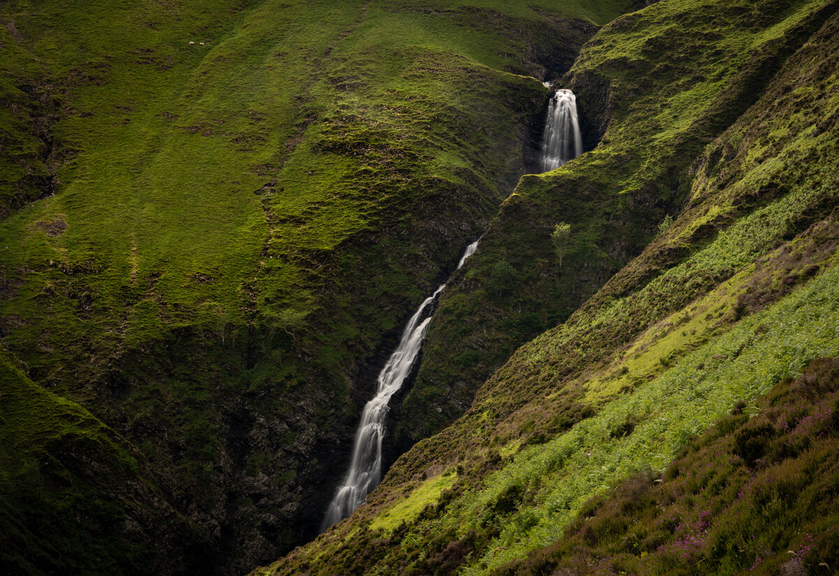 _DSC5611-1 copy.jpg